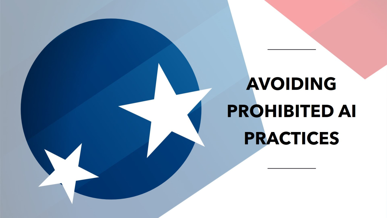 Prohibited AI Practices